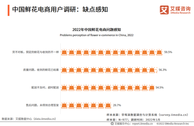 我在抖音教人养花，不拍段子，一个月卖掉7万枝小菊